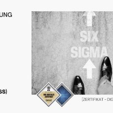 Design for Six Sigma (DFSS) | Seminar | Schulung | Training (Seminar | Frankfurt am Main)