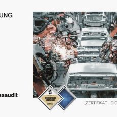 VDA 6.3 Prozessaudit Seminar (Seminar | Frankfurt am Main)