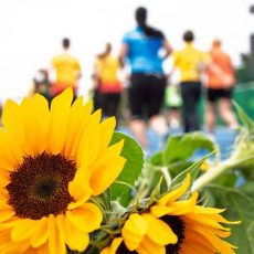 14. Laufend gegen Krebs (Unterhaltung / Freizeit | Leipzig) 14. Laufend gegen Krebs (Unterhaltung / Freizeit | Leipzig)