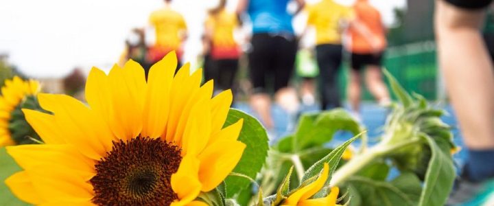 14. Laufend gegen Krebs (Unterhaltung / Freizeit | Leipzig)