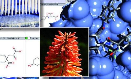 Advances in Chemical Biology (Vortrag | Frankfurt am Main) Advances in Chemical Biology (Vortrag | Frankfurt am Main)