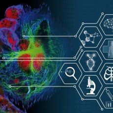 3D Cell Culture 2027: Functional Precision Medicine – Models and Molecules (Workshop | Freiburg im Breisgau)