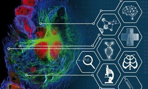 3D Cell Culture 2027: Functional Precision Medicine – Models and Molecules (Workshop | Freiburg im Breisgau) 3D Cell Culture 2027: Functional Precision Medicine – Models and Molecules (Workshop | Freiburg im Breisgau)