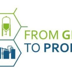 Himmelfahrtstagung on Bioprocess Engineering 2027 (Konferenz | Erfurt)
