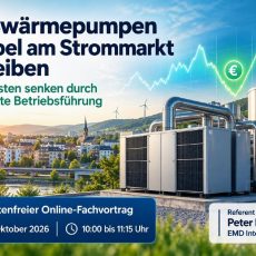 Großwärmepumpen flexibel am Strommarkt betreiben (Vortrag | Online)